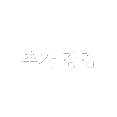 추가 장점