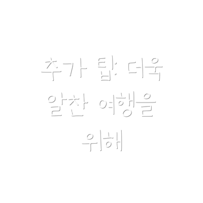 추가 팁: 더욱 알찬 여행을 위해