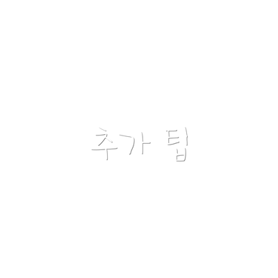 추가 팁