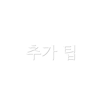 추가 팁