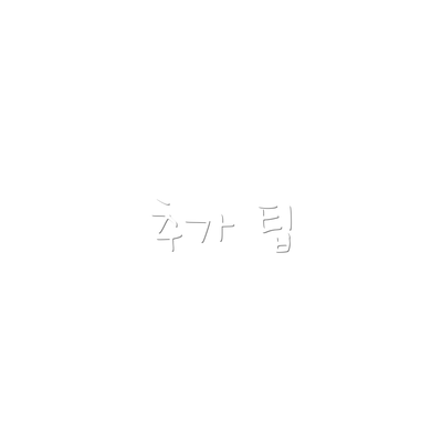 추가 팁