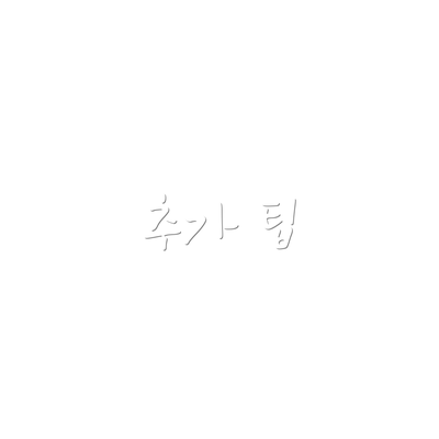 추가 팁