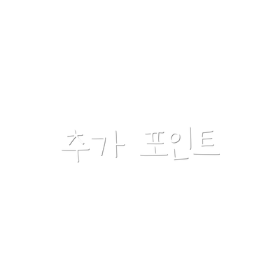 추가 포인트