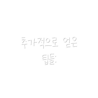 추가적으로 얻은 팁들: