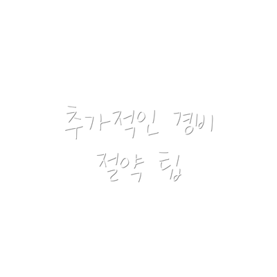 추가적인 경비 절약 팁