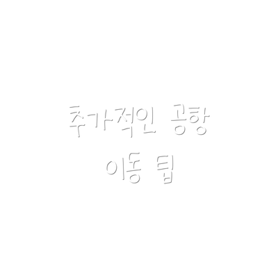 추가적인 공항 이동 팁