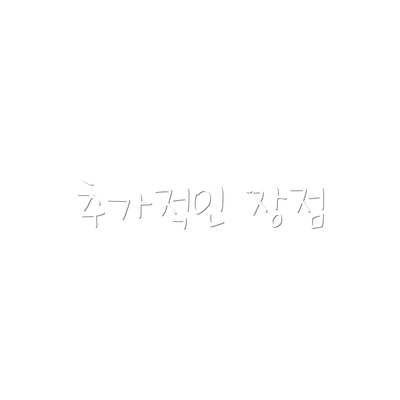 추가적인 장점