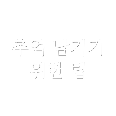 추억 남기기 위한 팁