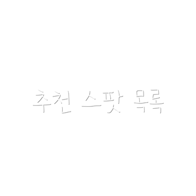 추천 스팟 목록