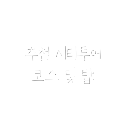 추천 시티투어 코스 및 팁: