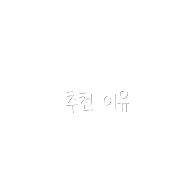 추천 이유