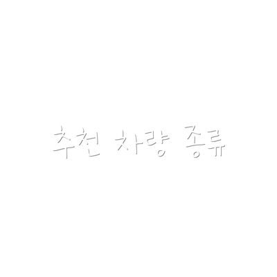 추천 차량 종류