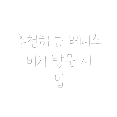 추천하는 베니스 비치 방문 시 팁