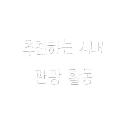 추천하는 시내 관광 활동