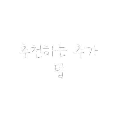 추천하는 추가 팁