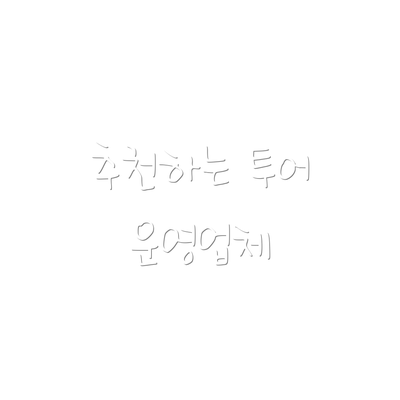 추천하는 투어 운영업체
