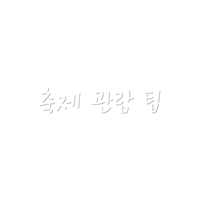 축제 관람 팁