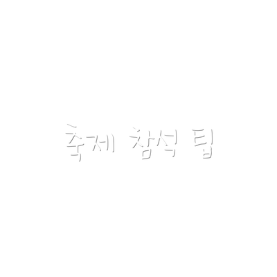 축제 참석 팁
