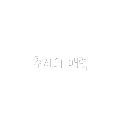 축제의 매력