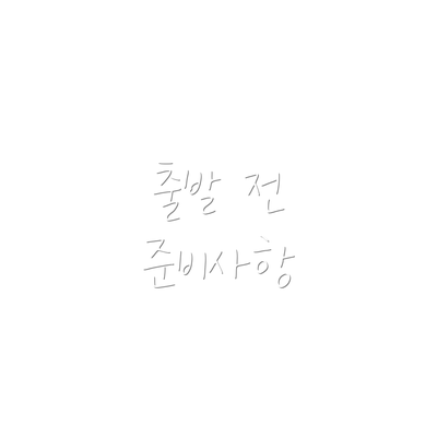 출발 전 준비사항