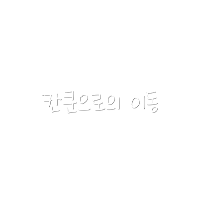칸쿤으로의 이동