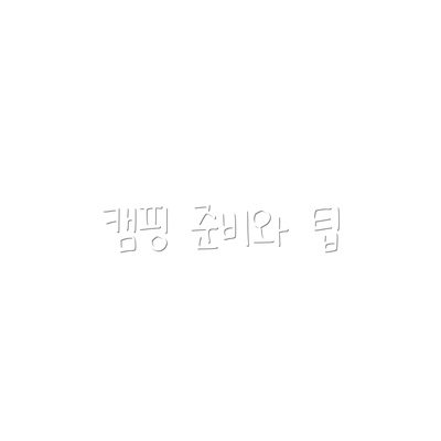 캠핑 준비와 팁