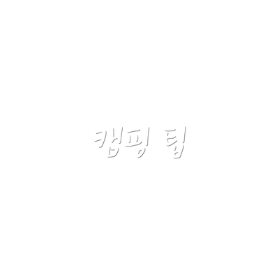 캠핑 팁