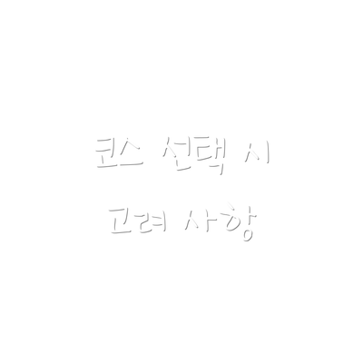 코스 선택 시 고려 사항