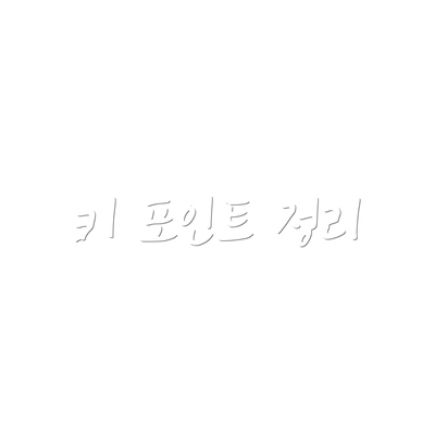 키 포인트 정리