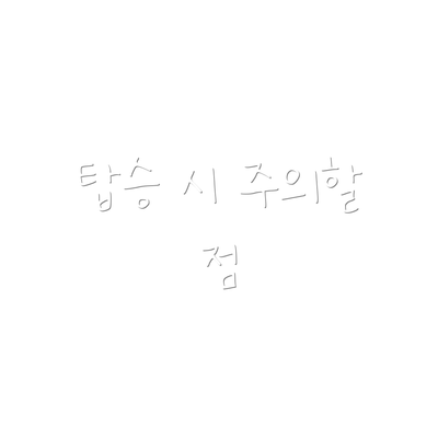 탑승 시 주의할 점