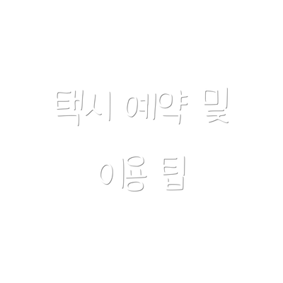 택시 예약 및 이용 팁