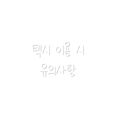택시 이용 시 유의사항