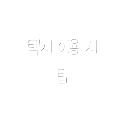 택시 이용 시 팁