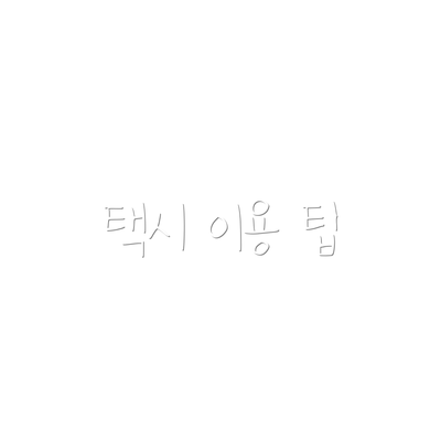 택시 이용 팁
