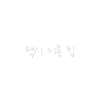 택시 이용 팁