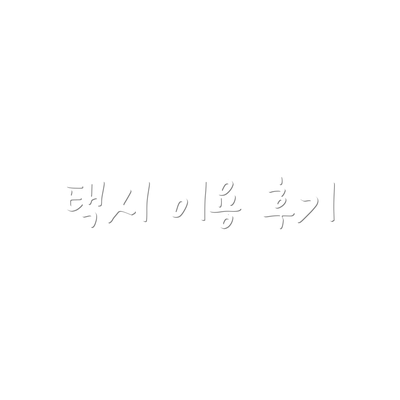 택시 이용 후기