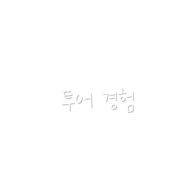 투어 경험