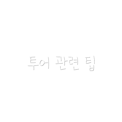 투어 관련 팁