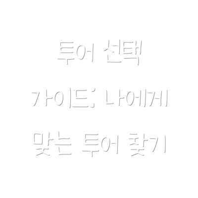 투어 선택 가이드: 나에게 맞는 투어 찾기