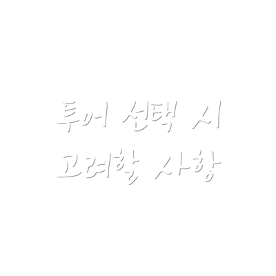투어 선택 시 고려할 사항