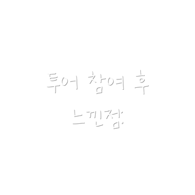 투어 참여 후 느낀점: