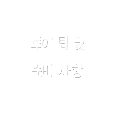 투어 팁 및 준비 사항