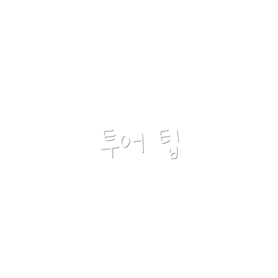투어 팁