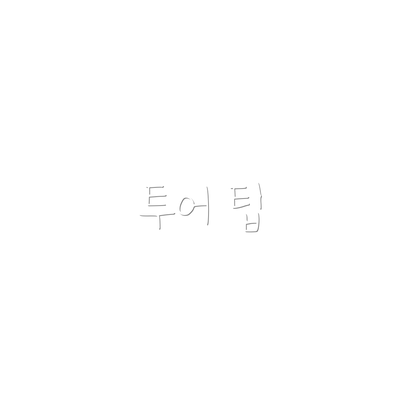 투어 팁