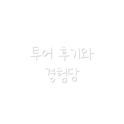 투어 후기와 경험담