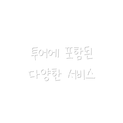 투어에 포함된 다양한 서비스