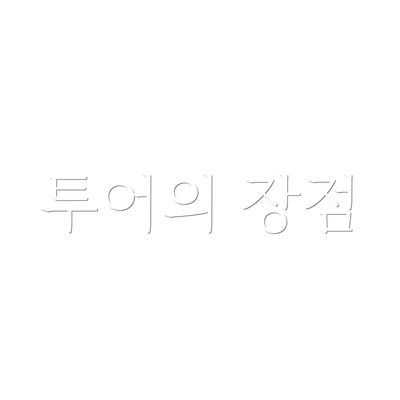 투어의 장점