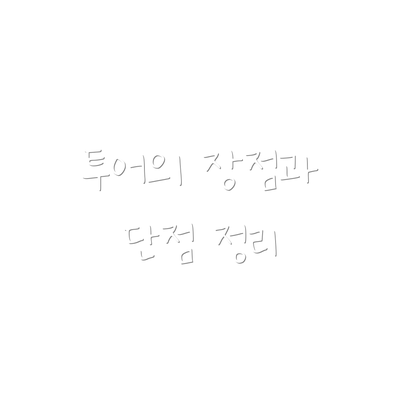 투어의 장점과 단점 정리