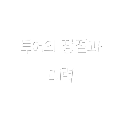 투어의 장점과 매력