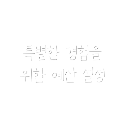 특별한 경험을 위한 예산 설정